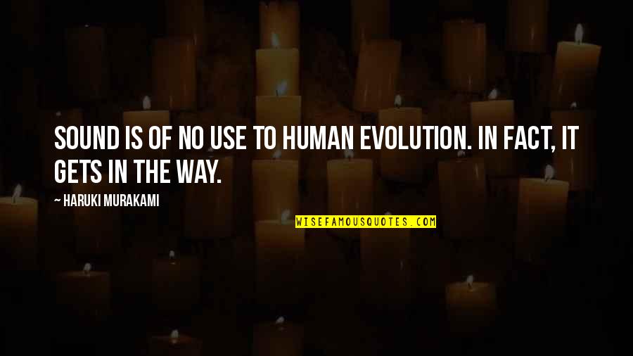 Hakawati Book Quotes By Haruki Murakami: Sound is of no use to human evolution.