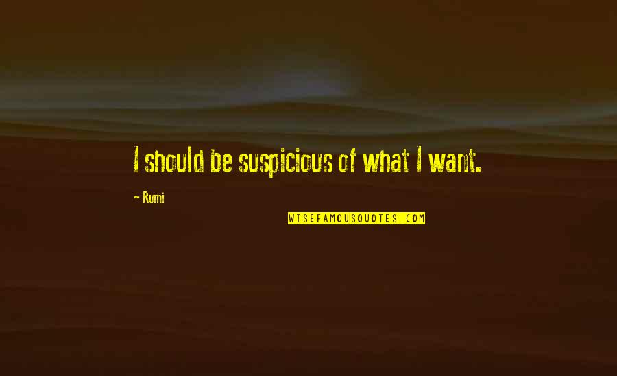 Haki Madhubuti Quotes By Rumi: I should be suspicious of what I want.