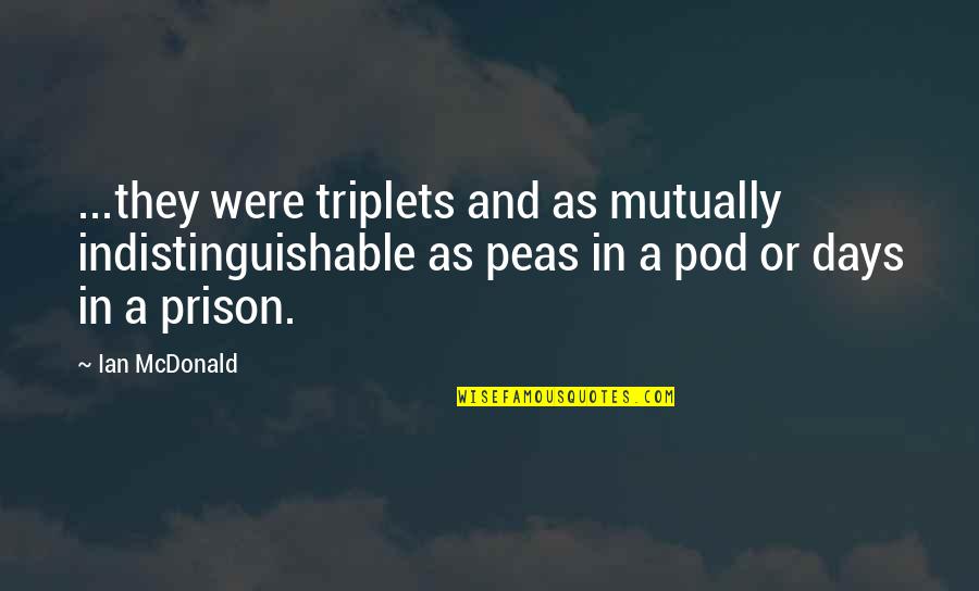 Haku Lei Quotes By Ian McDonald: ...they were triplets and as mutually indistinguishable as Haku Lei Quotes By Ian McDonald: ...they were triplets and as mutually indistinguishable as