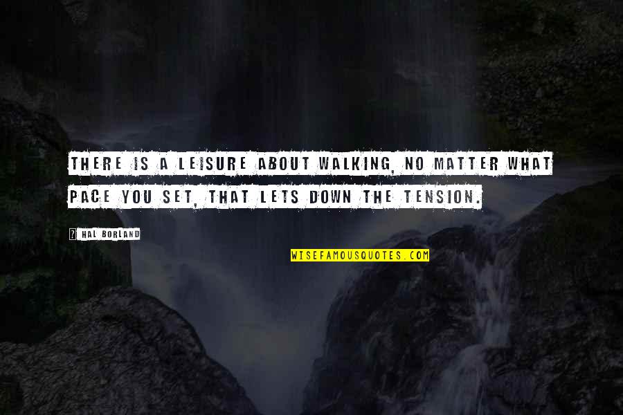 Hal Borland Quotes By Hal Borland: There is a leisure about walking, no matter Hal Borland Quotes By Hal Borland: There is a leisure about walking, no matter