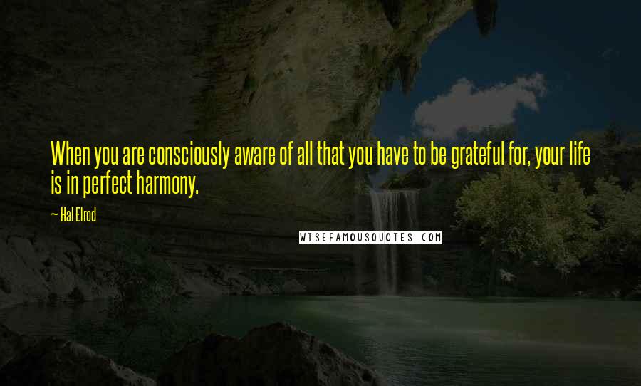 Hal Elrod quotes: When you are consciously aware of all that you have to be grateful for, your life is in perfect harmony.