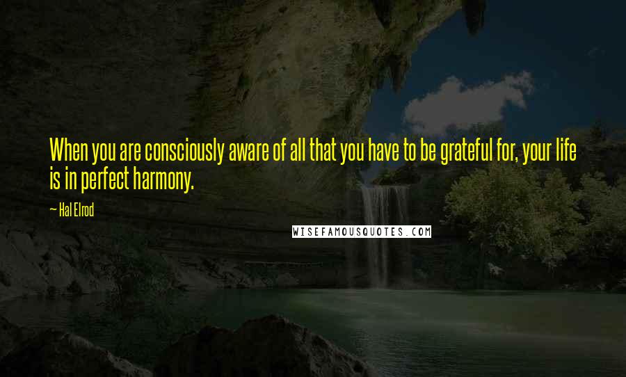 Hal Elrod quotes: When you are consciously aware of all that you have to be grateful for, your life is in perfect harmony. Hal Elrod quotes: When you are consciously aware of all that you have to be grateful for, your life is in perfect harmony.