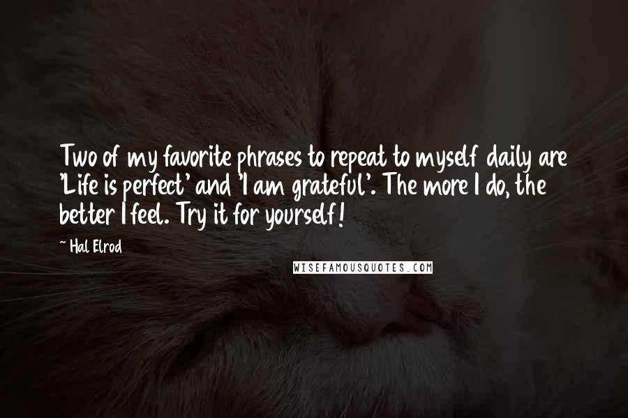 Hal Elrod quotes: Two of my favorite phrases to repeat to myself daily are 'Life is perfect' and 'I am grateful'. The more I do, the better I feel. Try it for yourself!