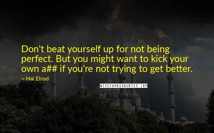 Hal Elrod quotes: Don't beat yourself up for not being perfect. But you might want to kick your own a## if you're not trying to get better.