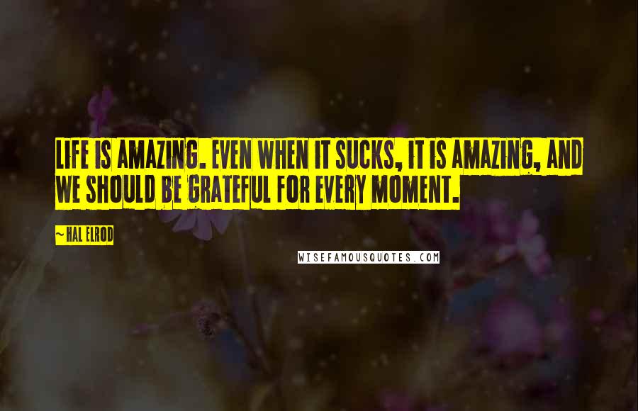 Hal Elrod quotes: Life is amazing. Even when it sucks, it is amazing, and we should be grateful for every moment.