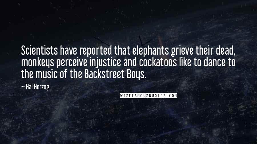Hal Herzog quotes: Scientists have reported that elephants grieve their dead, monkeys perceive injustice and cockatoos like to dance to the music of the Backstreet Boys.