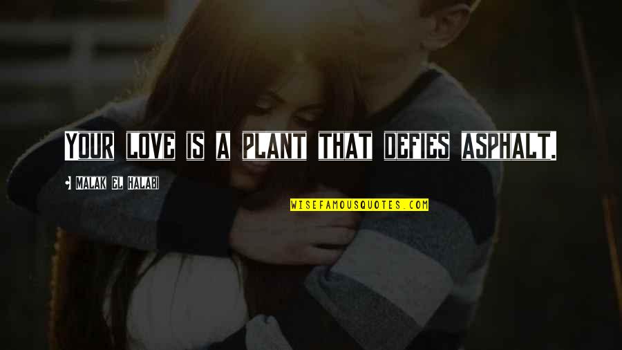 Halabi Quotes By Malak El Halabi: Your love is a plant that defies asphalt.