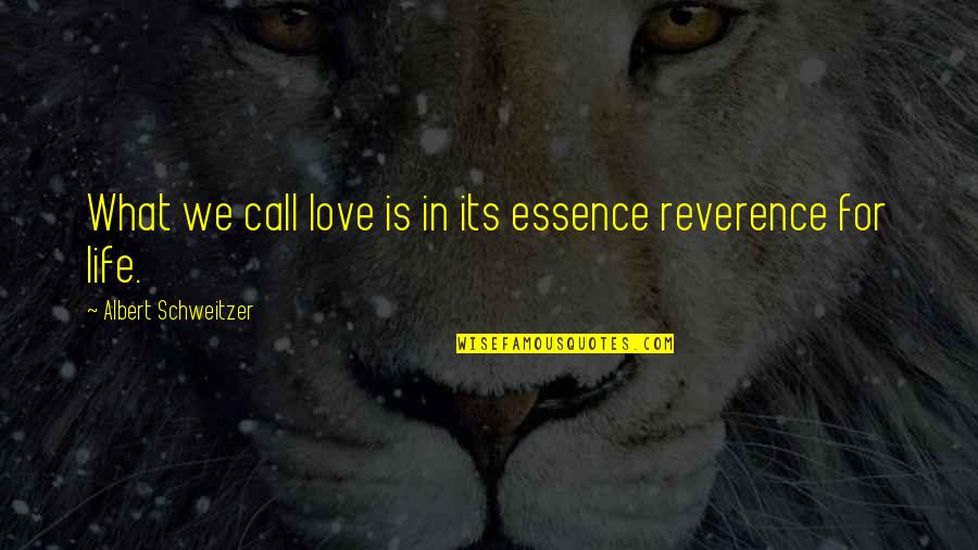 Halagar Sinonimo Quotes By Albert Schweitzer: What we call love is in its essence Halagar Sinonimo Quotes By Albert Schweitzer: What we call love is in its essence