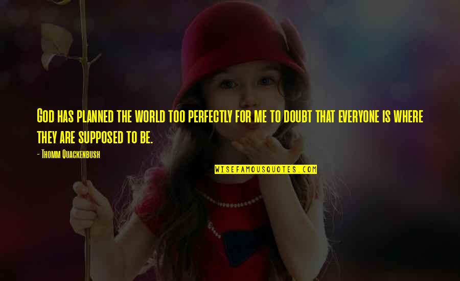 Halamid Quotes By Thomm Quackenbush: God has planned the world too perfectly for