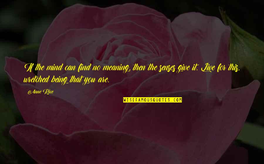 Halbig Machining Quotes By Anne Rice: If the mind can find no meaning, then