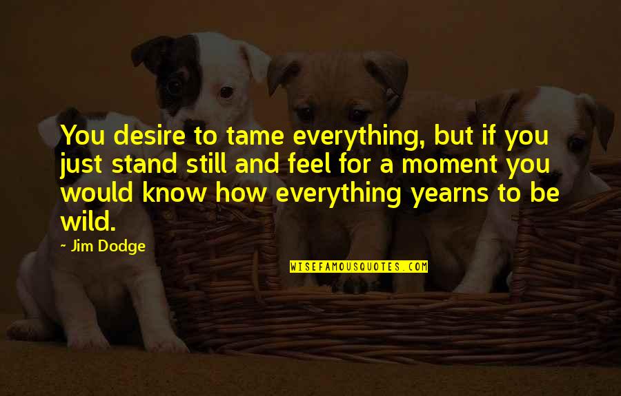 Halbig Machining Quotes By Jim Dodge: You desire to tame everything, but if you Halbig Machining Quotes By Jim Dodge: You desire to tame everything, but if you