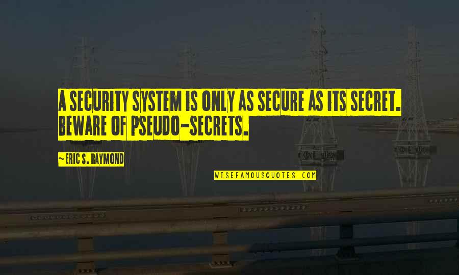 Haldis Larsen Quotes By Eric S. Raymond: A security system is only as secure as
