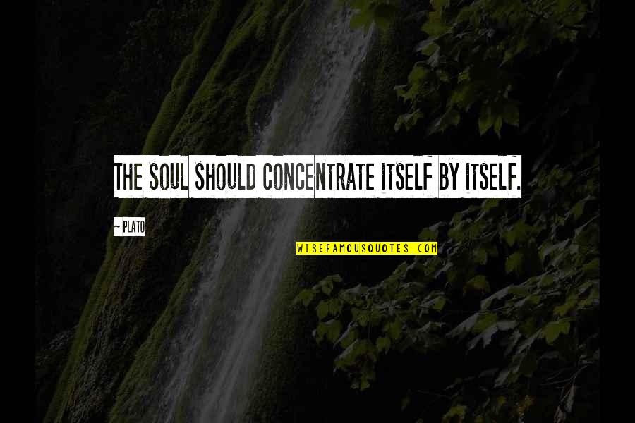 Haldon Forest Quotes By Plato: The soul should concentrate itself by itself.