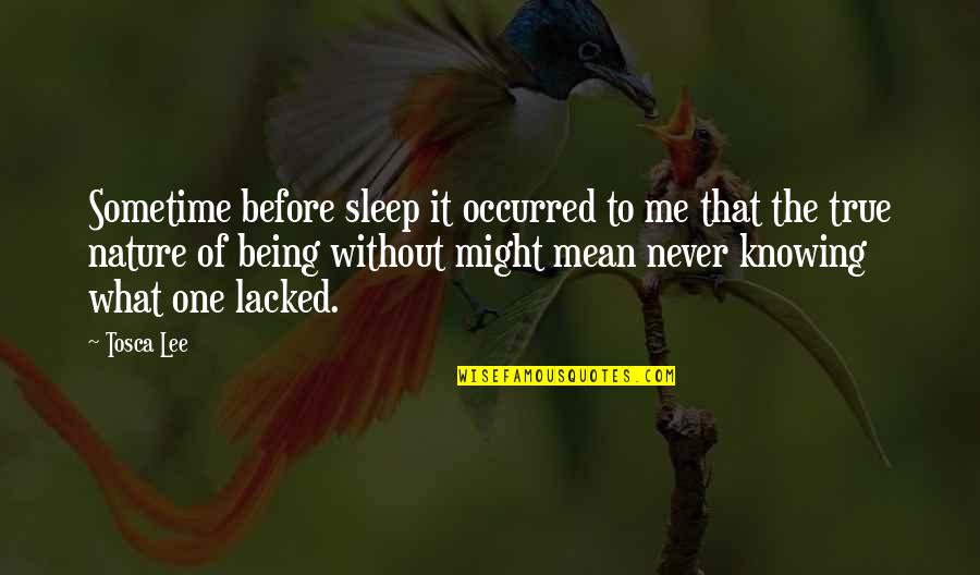 Haleh Shekarchian Quotes By Tosca Lee: Sometime before sleep it occurred to me that