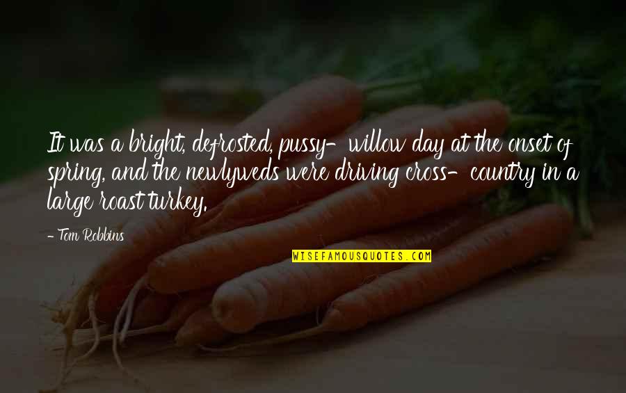Halekauwila Quotes By Tom Robbins: It was a bright, defrosted, pussy-willow day at