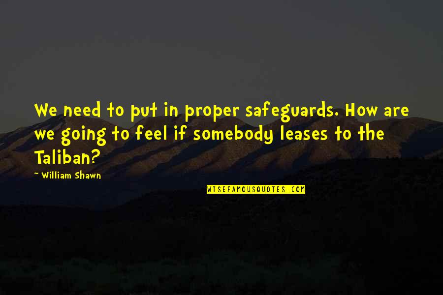 Halenka Quotes By William Shawn: We need to put in proper safeguards. How