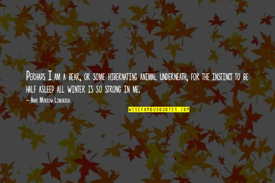 Half Asleep Quotes By Anne Morrow Lindbergh: Perhaps I am a bear, or some hibernating