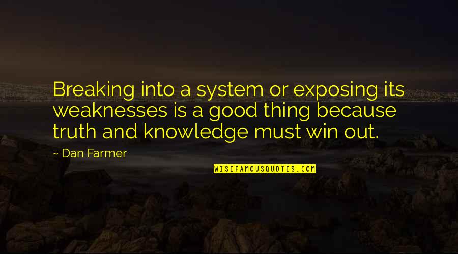 Half Assed Effort Quotes By Dan Farmer: Breaking into a system or exposing its weaknesses