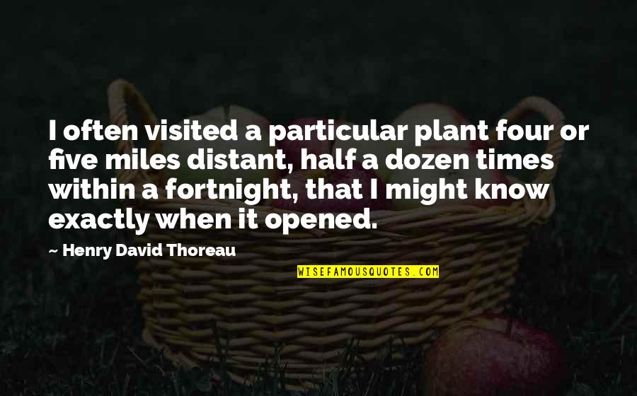 Half Dozen Quotes By Henry David Thoreau: I often visited a particular plant four or