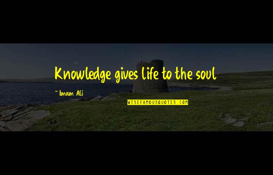 Half Empty Cup Quotes By Imam Ali: Knowledge gives life to the soul