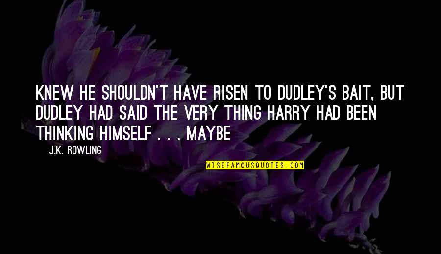 Half Face Mask Quotes By J.K. Rowling: knew he shouldn't have risen to Dudley's bait,