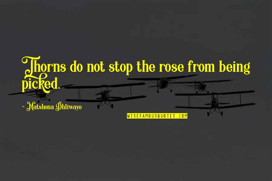 Half Girlfriend Funny Quotes By Matshona Dhliwayo: Thorns do not stop the rose from being