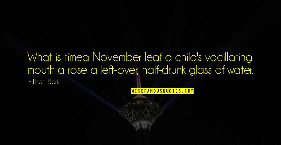 Half Glass Water Quotes By Ilhan Berk: What is timea November leaf a child's vacillating
