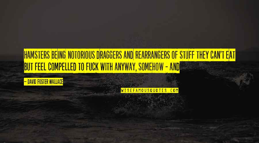 Half Mile Hailer Quotes By David Foster Wallace: Hamsters being notorious draggers and rearrangers of stuff Half Mile Hailer Quotes By David Foster Wallace: Hamsters being notorious draggers and rearrangers of stuff