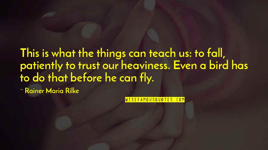 Half Nelson Quotes By Rainer Maria Rilke: This is what the things can teach us: