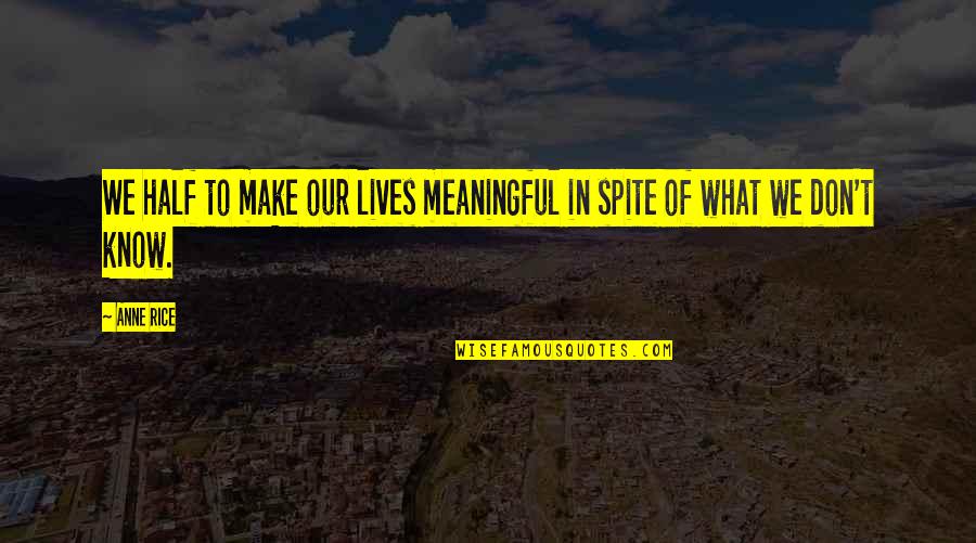 Half Of Life Quotes By Anne Rice: We half to make our lives meaningful in