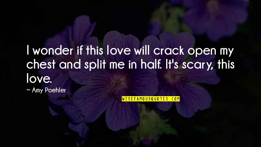 Half Of Me Is You Quotes By Amy Poehler: I wonder if this love will crack open