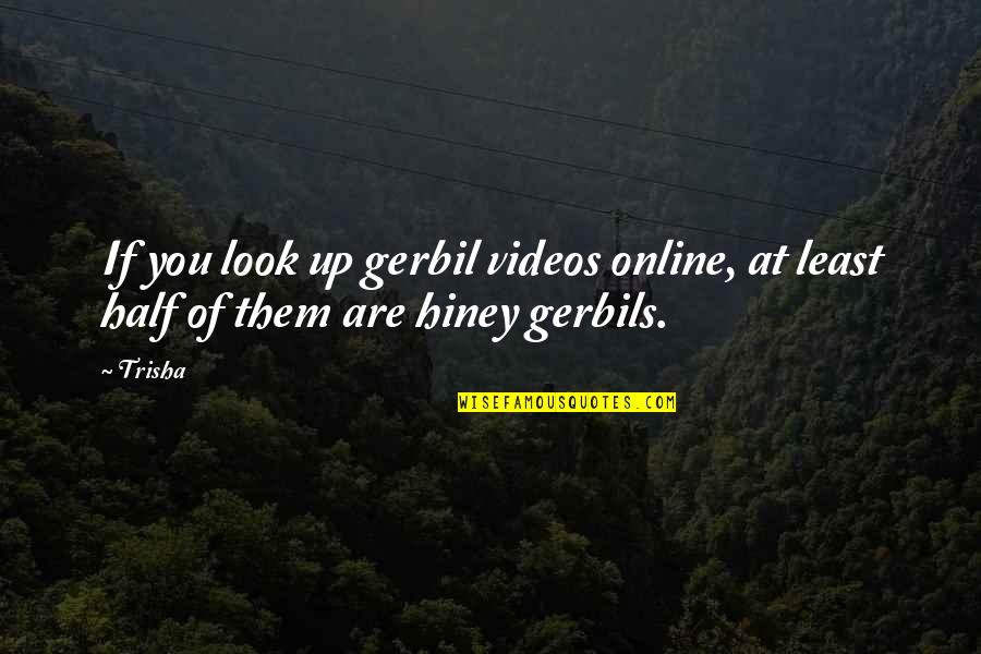 Half Of You Quotes By Trisha: If you look up gerbil videos online, at