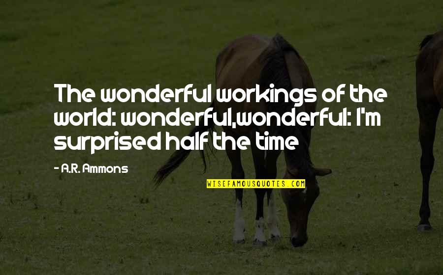 Half The World Quotes By A.R. Ammons: The wonderful workings of the world: wonderful,wonderful: I'm