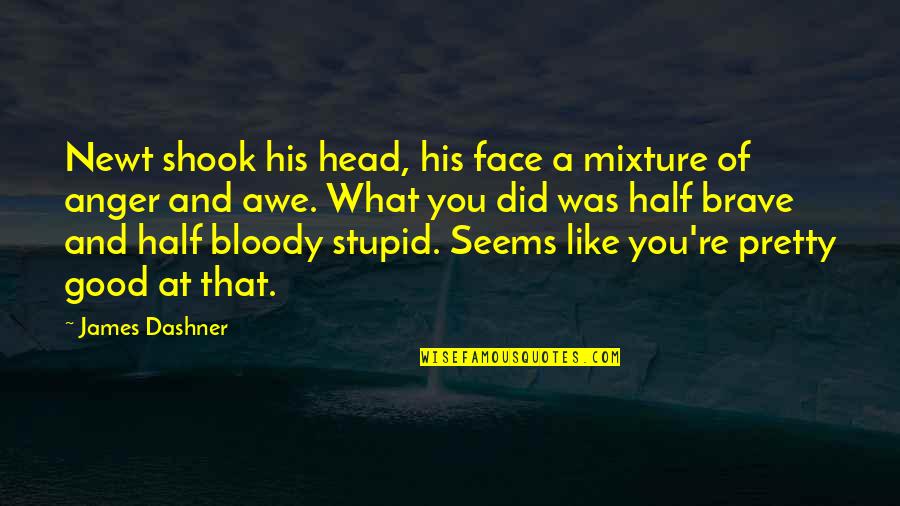 Half Your Face Quotes By James Dashner: Newt shook his head, his face a mixture Half Your Face Quotes By James Dashner: Newt shook his head, his face a mixture