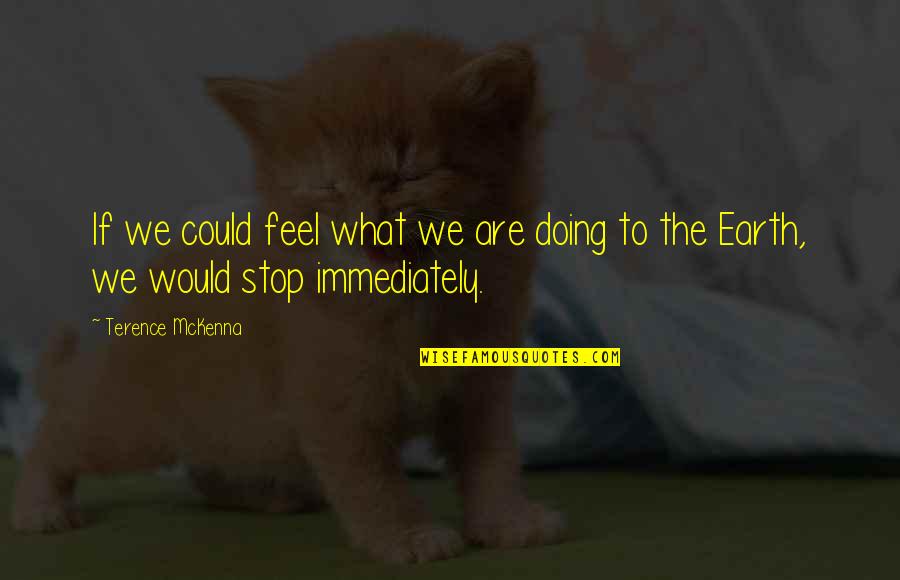 Halfsies Cookie Company Quotes By Terence McKenna: If we could feel what we are doing