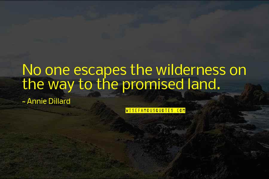 Halif Quotes By Annie Dillard: No one escapes the wilderness on the way