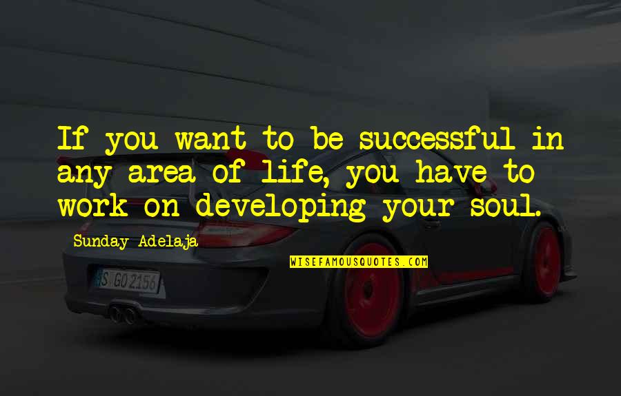 Hall Ford Quotes By Sunday Adelaja: If you want to be successful in any Hall Ford Quotes By Sunday Adelaja: If you want to be successful in any