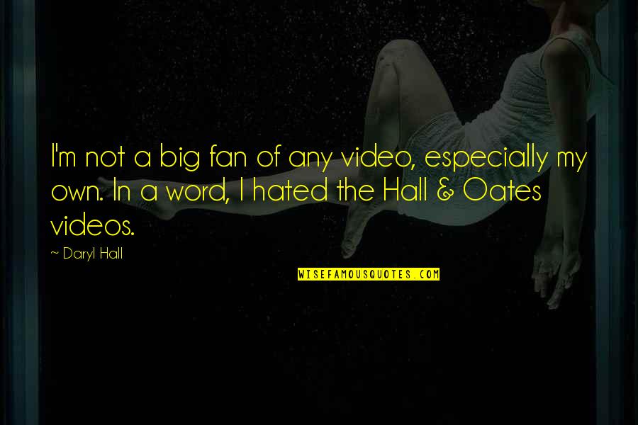 Hall & Oates Quotes By Daryl Hall: I'm not a big fan of any video,