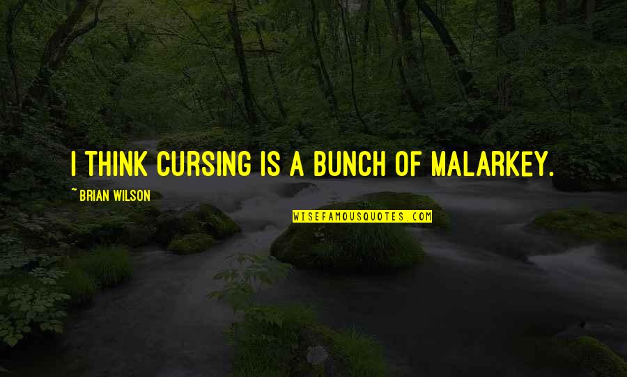 Hallaband Quotes By Brian Wilson: I think cursing is a bunch of malarkey.