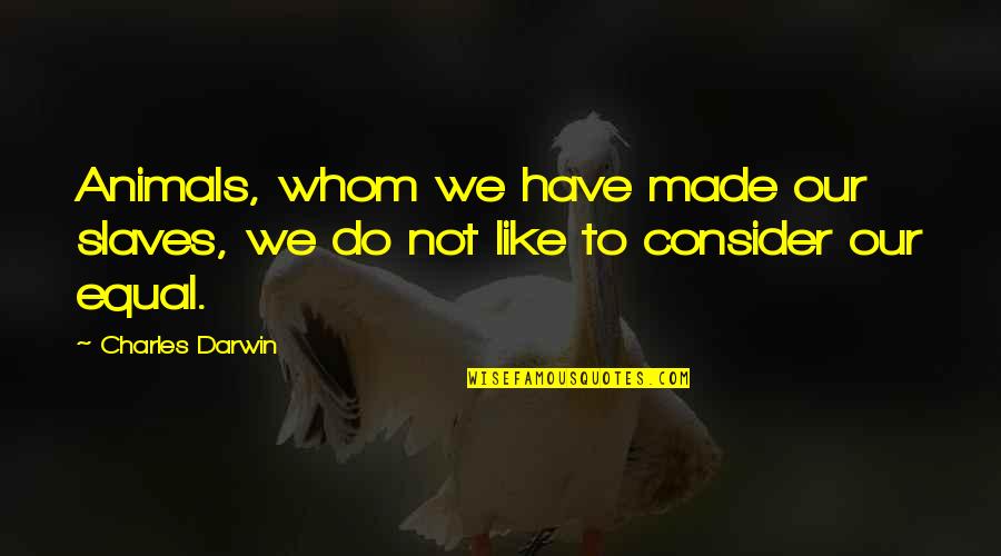Hallajullah Quotes By Charles Darwin: Animals, whom we have made our slaves, we