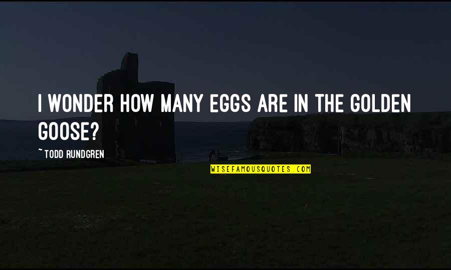 Hallam Foe Quotes By Todd Rundgren: I wonder how many eggs are in the