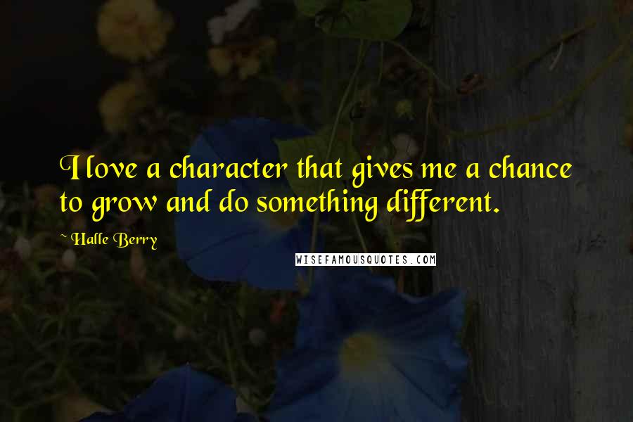 Halle Berry quotes: I love a character that gives me a chance to grow and do something different.