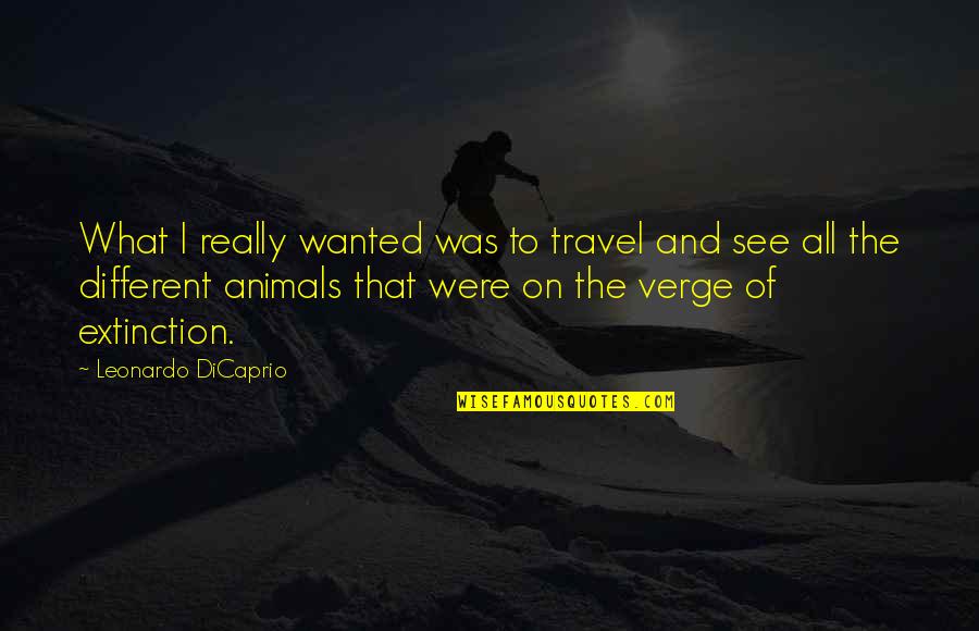 Hallowenn Quotes By Leonardo DiCaprio: What I really wanted was to travel and Hallowenn Quotes By Leonardo DiCaprio: What I really wanted was to travel and