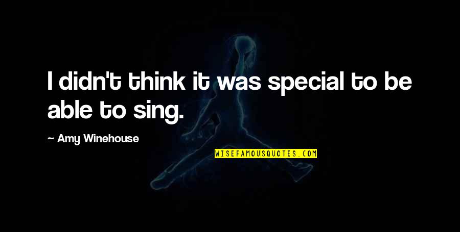 Hallstones Quotes By Amy Winehouse: I didn't think it was special to be