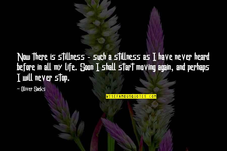 Hallum Inc Quotes By Oliver Sacks: Now there is stillness - such a stillness