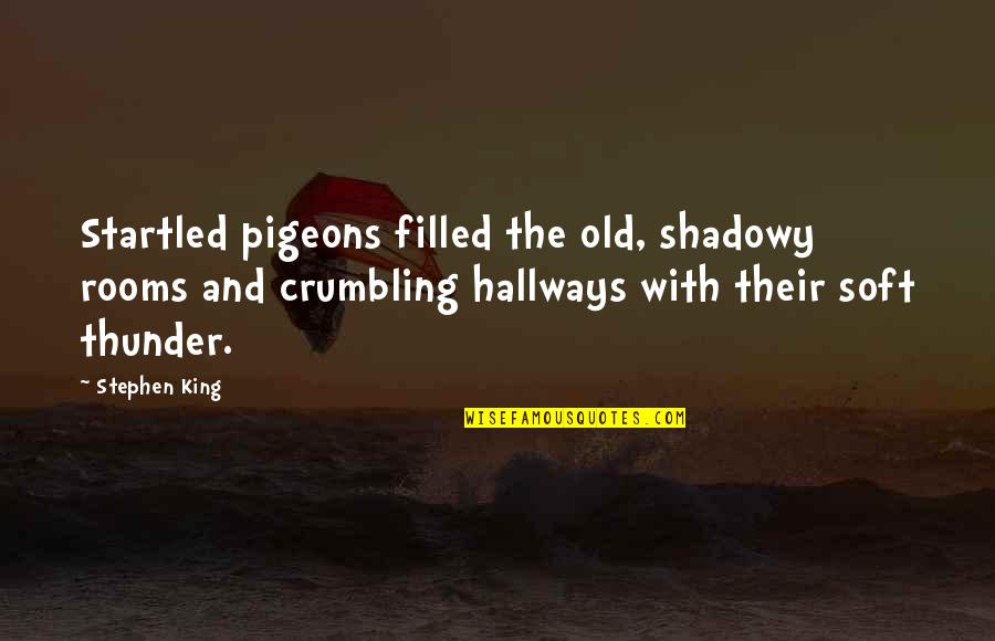 Hallways Quotes By Stephen King: Startled pigeons filled the old, shadowy rooms and