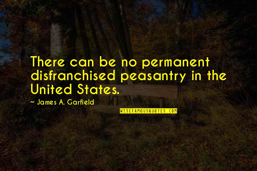 Hallworth Manor Quotes By James A. Garfield: There can be no permanent disfranchised peasantry in