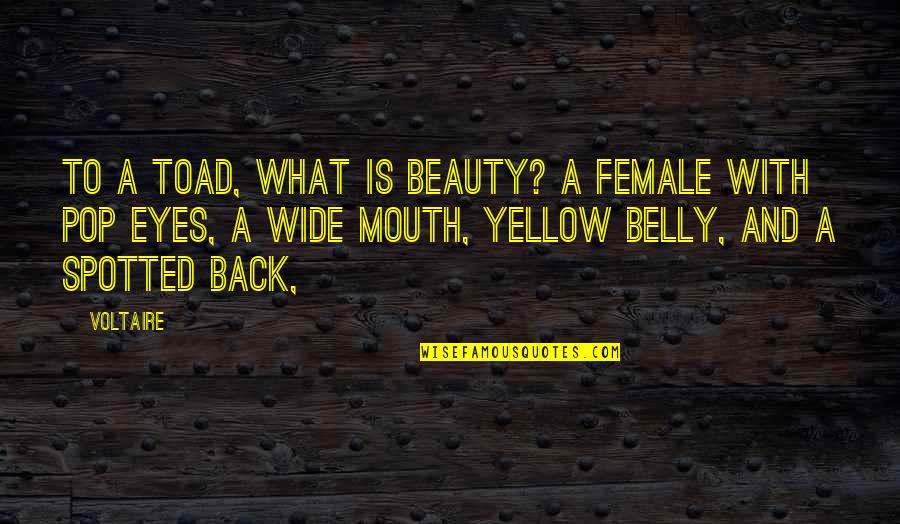 Halmalo Quotes By Voltaire: To a toad, what is beauty? A female