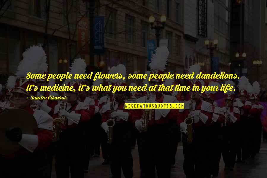 Halo Dutch Quotes By Sandra Cisneros: Some people need flowers, some people need dandelions.