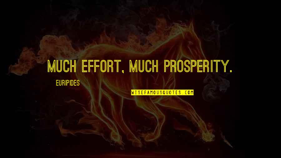 Halo Reach Firefight Quotes By Euripides: Much effort, much prosperity.